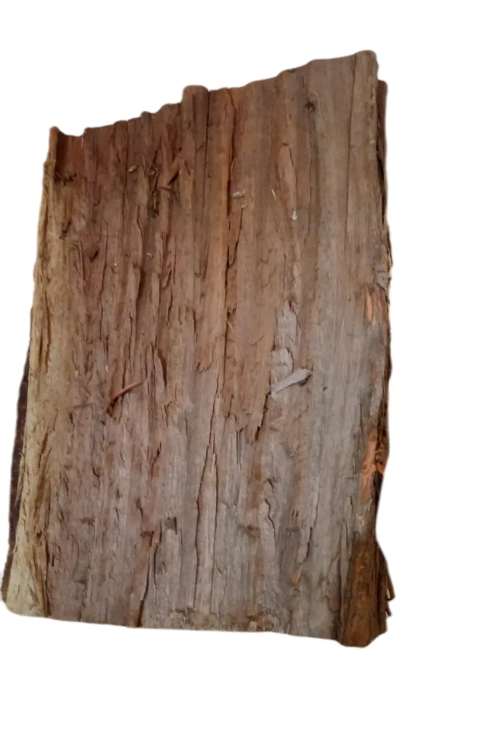 astilla-colorada-seca