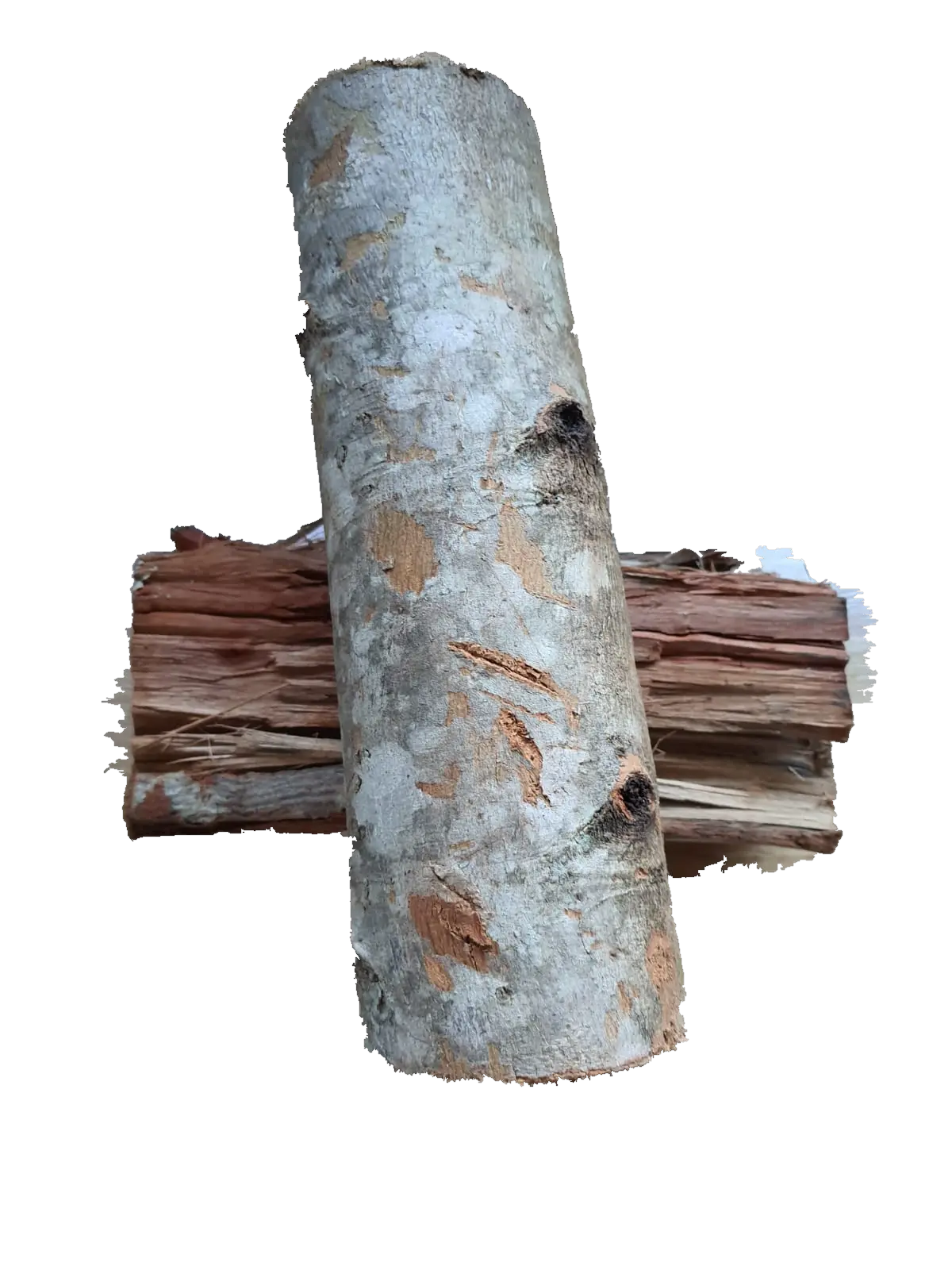 astilla-oreada